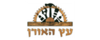 עיצוב ללא שם - 2024-07-31T140856.600